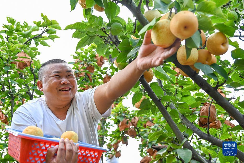 帝豪娱乐平台